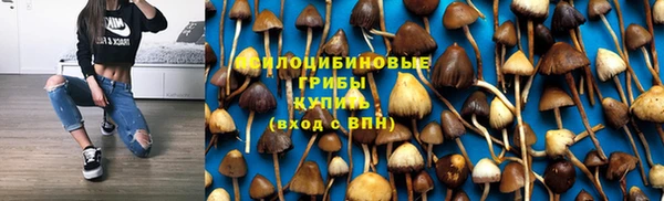 гидра Армянск