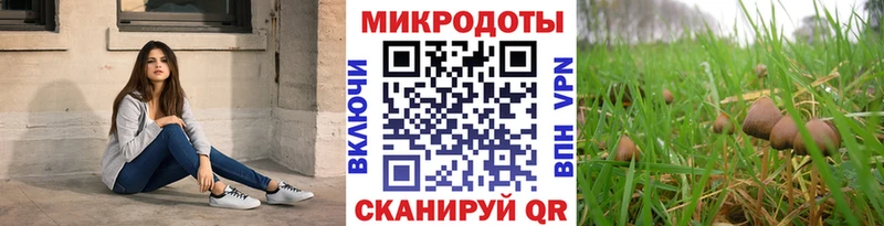 Галлюциногенные грибы Psilocybine cubensis  shop наркотические препараты  Валдай 