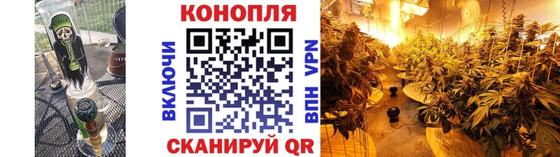 Марихуана гибрид  купить наркоту  Валдай 